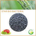 Fertilizante Granular Orgânico Biológico